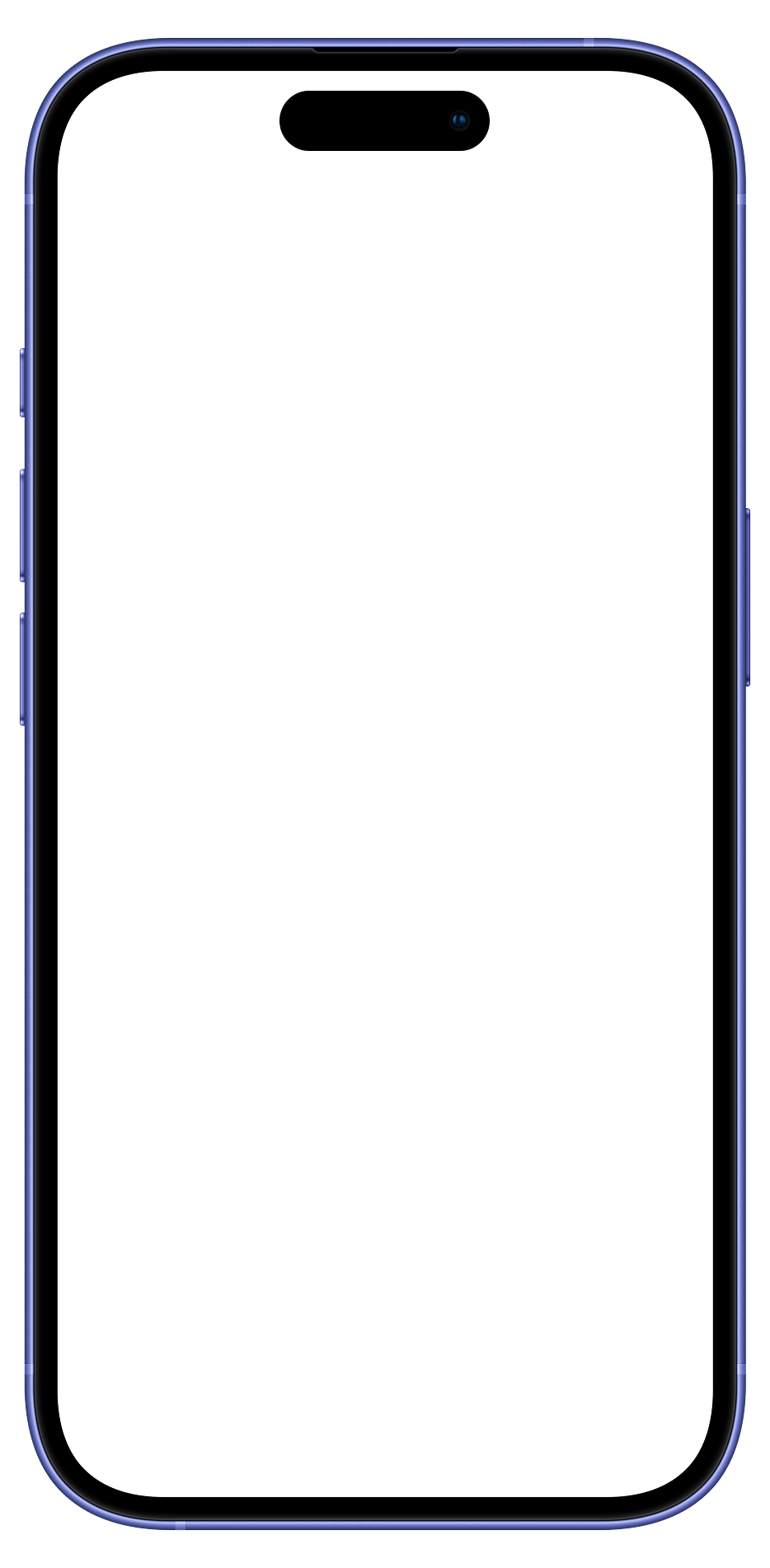 iPhone frame