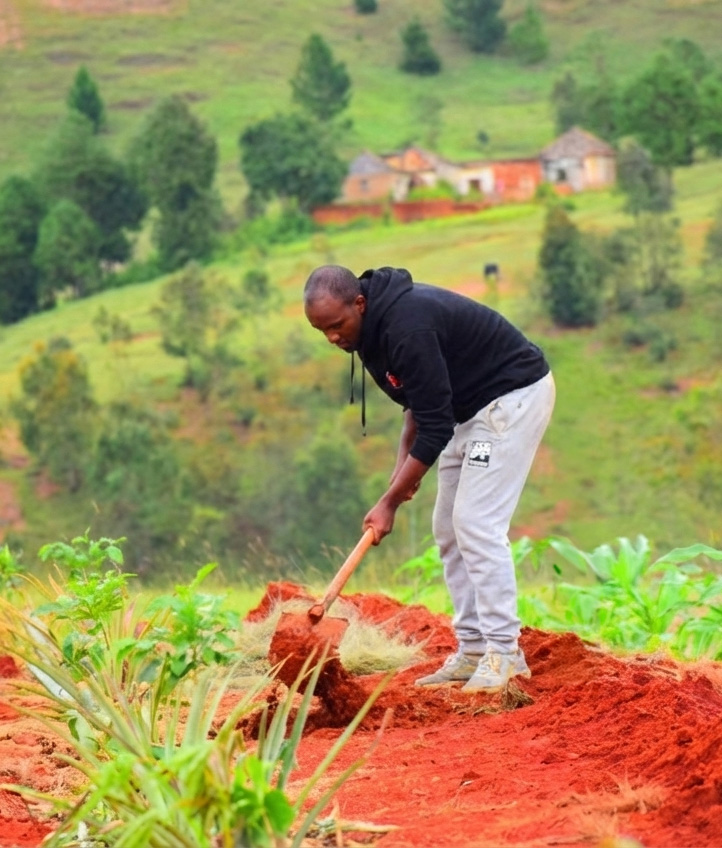 Jacob, Futur paysan agroforestier